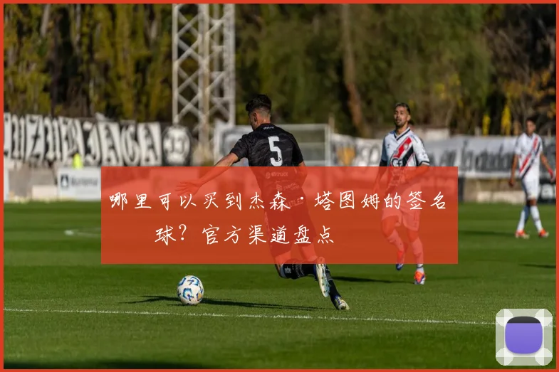 哪里可以买到杰森·塔图姆的签名篮球?官方渠道盘点