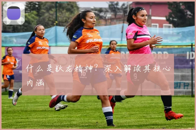 什么是狄龙精神?深入解读其核心内涵