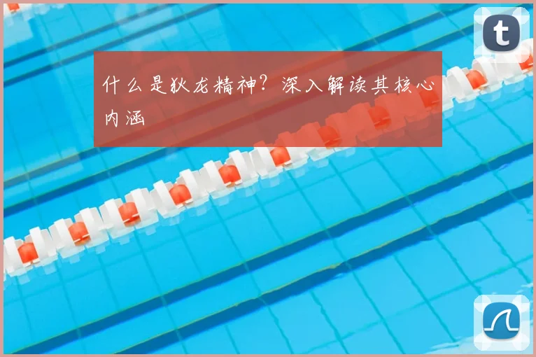 什么是狄龙精神?深入解读其核心内涵